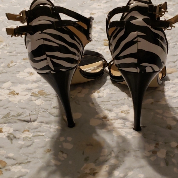 Cato - Picture 3 of 5